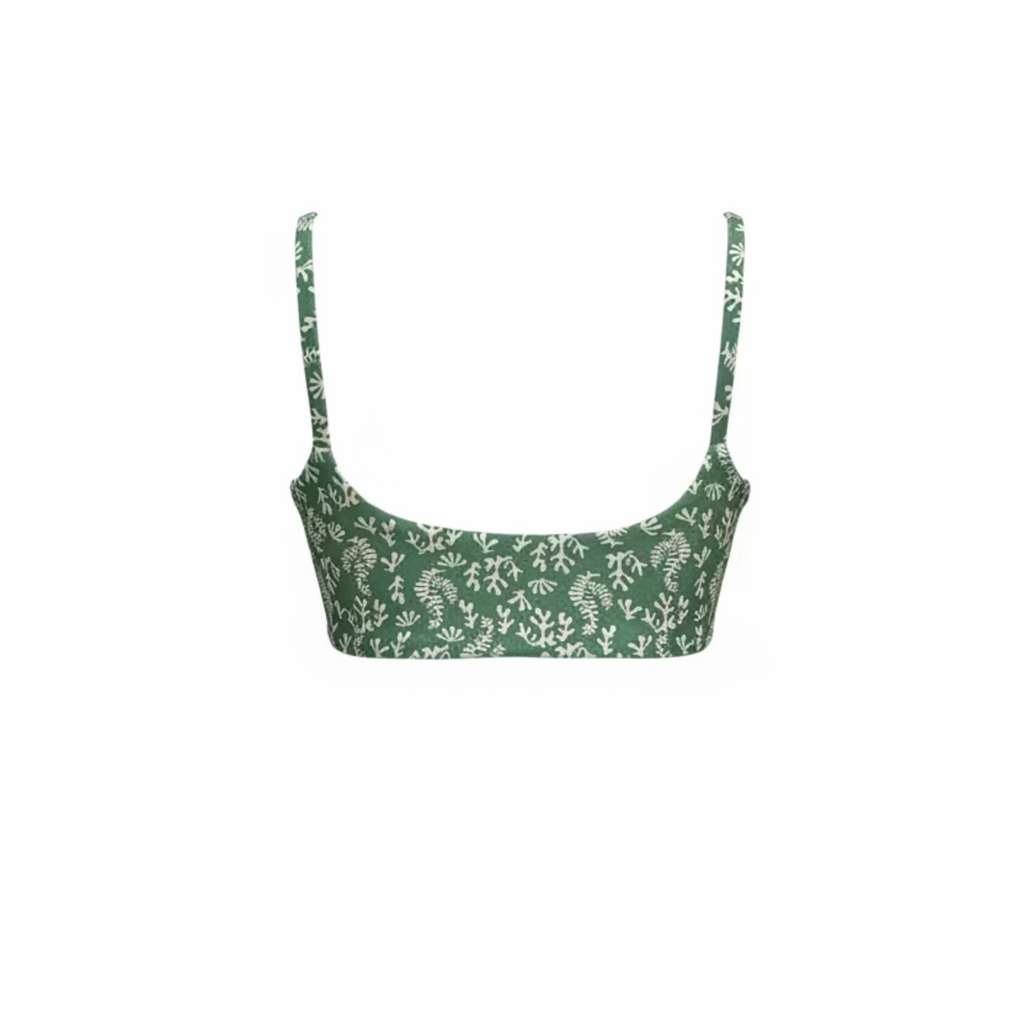 Top basic corales
