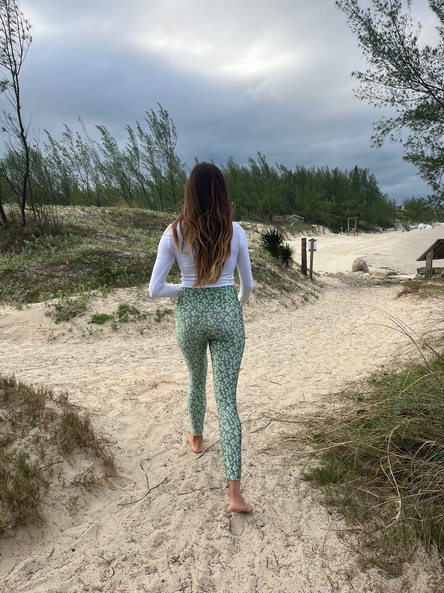 Leggs Corales